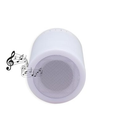 Bluetooth Altavoz