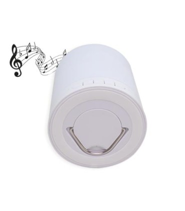 Bluetooth Altavoz