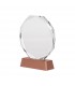 Trofeo galvano