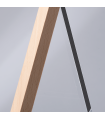 Trofeo de Cristal TRIANGLE